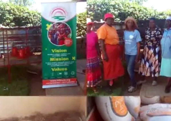 From Vulnerability to Self-Reliance: The Success of the Widows’ Poultry Project in Midlands